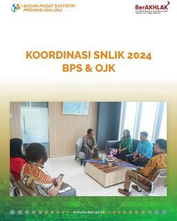 KOORDINASI SNLIK 2024 - BPS & OJK