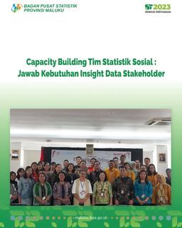 Capacity Building of the Social Statistics Team: Answering Stakeholder Data Insight Needs