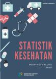 Maluku Provincial Health Statistics 2020